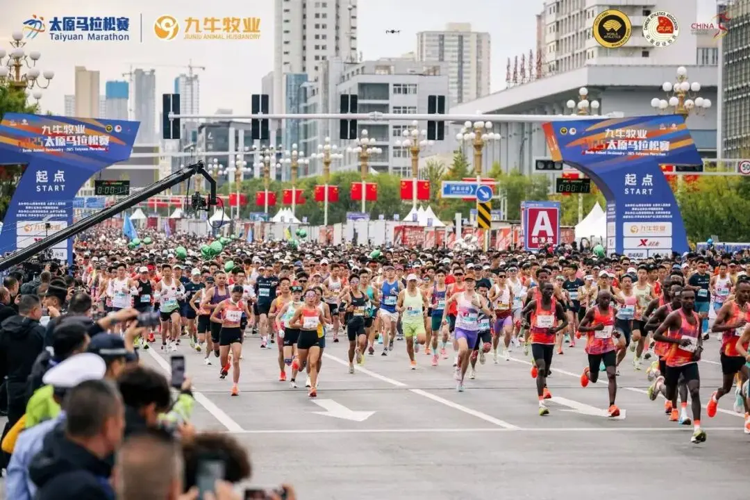 成绩为, entit, tenan 成绩为, entit, tenan